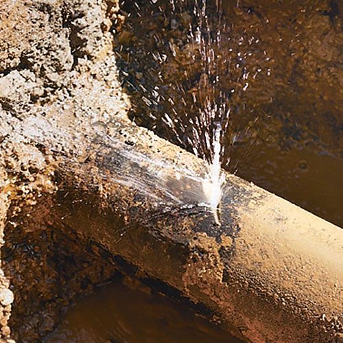 Same Day Surrey Downs Plumbers